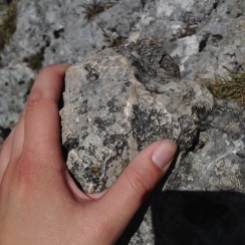 Some rocks along the way are polished from climbers' hands